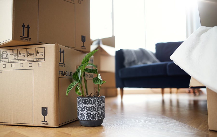Moving home in West Sussex? Essential tips when relocating